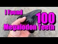 100 Megalodon Teeth Found Near Charleston South Carolina