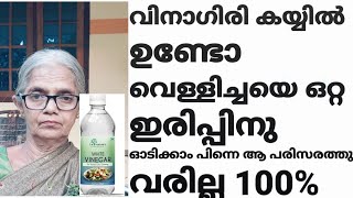 നിങ്ങളുടെ കയ്യിൽ വിനഗർ ഉണ്ടോ മുഞ്ഞ വെള്ളീച്ച, ചാഴി വണ്ട് എന്നീ കീടങ്ങളൊക്കെ പമ്പ കടക്കും ചെയ്തു നോക്