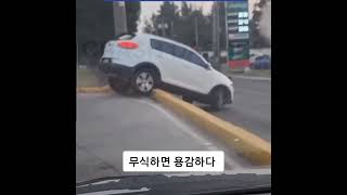 무식하면 용감하다