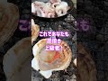 【キャンプ入門】炭焼きの極意！by 女子大生ねっとわーくチャンネル shorts キャンプ飯 bbq