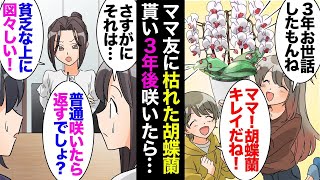 【総集編】ママ友の家で捨てられそうになっていた枯れた胡蝶蘭「捨てるなら貰っていい？」「プッｗそんなゴミが欲しいの？貧乏臭い…どうぞｗ」→持って帰り３年手をかけて世話したら咲いた「返せ！」【マンガ動画】