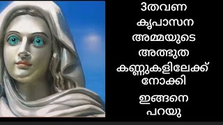 കൃപാസനം അമ്മയുടെ അത്ഭുത കണ്ണുകളിലേക്ക് നോക്കി മൂന്നുപ്രാവശ്യം ഇങ്ങനെ ചോദിക്കുക#kreupasanam