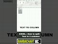 Excel: how to split text in two columns