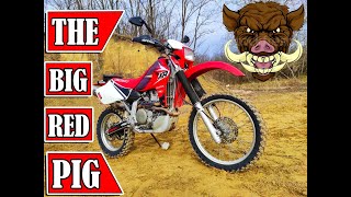 Jeli Motors: Honda XR 650R. A disznó teszt!❗🐷