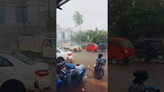 മിന്നൽ ചുഴലി//പെരുമഴയിൽ നടന്നത് #heavyrain