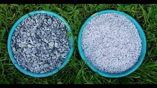 Do Birds Really Eat Rocks?