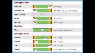 ZRT Labs Male Dried Blood Profile II-Lab Tests Plus