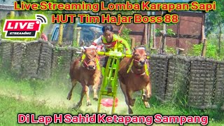 live Streaming Lomba Karapan Sapi HUT Tim Hajar Boss Di Lap Priok ketapang Sampang.