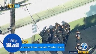 Gunman in custody after hostage standoff at Trader Joe's in LA
