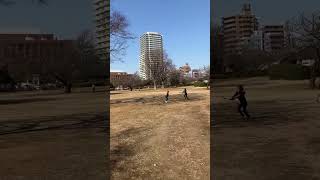 ❣️木場公園は保育園児の天国❣️公園周辺から大勢の園児が先生の引率で遊びに来ています。幾つかの横断歩道を渡って来るケースが多いと思われますが、公園内に保育園がありました。絶好の環境ですね😄