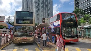 Hong Kong Bus KMB ATE195 @ 297 九龍巴士 TransBus Enviro500 坑口(北) - 紅磡(紅鸞道)