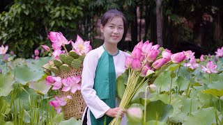 Harvest Lotus and cook healthy dishes | Ella Daily Life