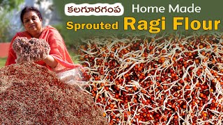 Sprouted Ragi flour / Kalagura Gampa Home Made Ragi Flour making prosess/ Summer special Ragi java