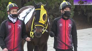 ヒカルの所有馬 オーナーの地元で待望の初勝利！ 1500万円牝馬ヒメノタヅナデビュー2戦目