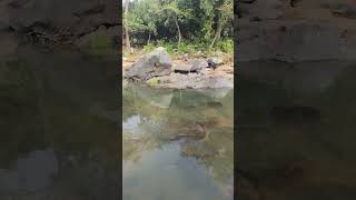 bhairav kund, Mayurbhanj, Odisha ❤️❤️❤️ #ashortaday #tourism #tourist #picnicspot #picnic