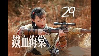 铁血海棠 第29集 | 中国经典抗战剧