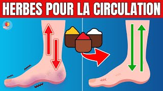 Améliorez la circulation dans vos jambes et vos pieds avec ces 10 herbes puissantes!