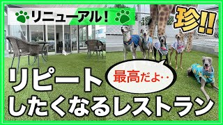 【レストラン大改造！】ドッグランを増やしてみた！するとワンちゃんたちが・・【ドッグカフェ】