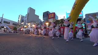 第62回 高円寺阿波踊り2018 【えびす連】