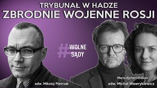 Zbrodnie wojenne Rosji przed Trybunał w Hadze - Studio Wolne Sądy podcast dla TOK FM