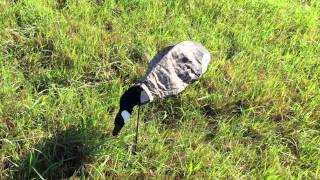 Slammer Sock Decoy - Working Well With Little Wind