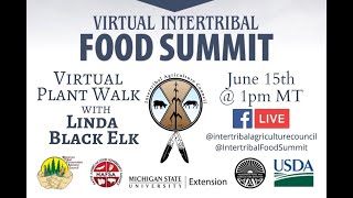 Virtual Plant Walk with Linda Black Elk