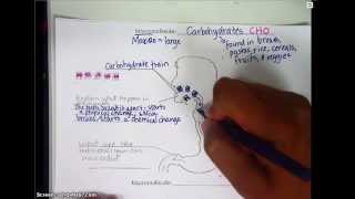 Macromolecule Notes