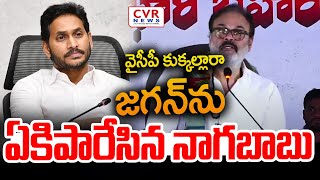 LIVE⭕- వైసీపీ కుక్కల్లారా😱😱.. జగన్ ను ఏకిపారేసిన నాగబాబు | Nagababu Comments On YCP | CVR News