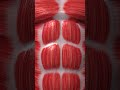 introduction to muscular system