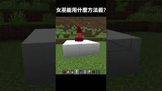 有什麼方法可以自動殺死女巫 #我的世界 #minecraft