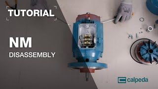 How to disassemble NM centrifugal pumps in 19 steps