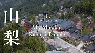 [桜ドローン撮影4K] 山梨県身延山久遠寺の枝垂れ桜｜桜ドローンプロジェクト