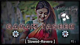 Garam Taseer Slowed Reverb || Garam Taseer Di Daru Lofi || MRx Vishnu Song