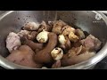 braised pork feet with peanut 红烧猪肉脚 easy pork feet recipe funtastic girl0911