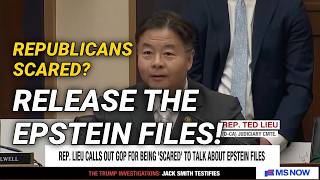 Why are Republicans Scared of Talking about Epstein? | Jack Smith Hearing MS NOW Coverage