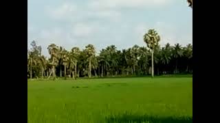 Beautiful Nature l konaseema Beauty | Konaseema andalu