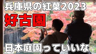 【姫路 好古園】じゃらんランキングで１位になった秋景色を満喫🍁2023.11.27 兵庫県の紅葉🍁