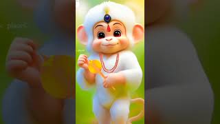 Jai hunuman ||Jai bajrangbali Hanuman cute  || 🙏🙏🙏🙏🚩🚩🚩🚩 || new status shorts video|| ❤️❤️❤️❤️💯💯💯💯