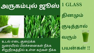 அருகம்புல் ஜூஸ் பயன்கள் |Arukampul |  Bermuda Grass juice Benefits