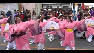 春の風咲き乱れ（新町フェスタ2011）