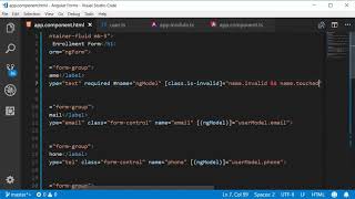 Angular Forms Tutorial 8 Validation with Visual Feedback
