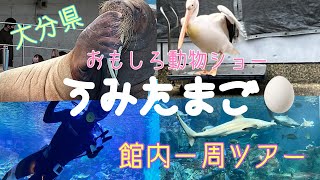 【大分県】大分マリーンパレス水族館〜うみたまご〜Umitamago Aquarium Oita Japan#大分 #うみたまご