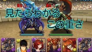 【Dolphinのパズドラ】第45回チャレンジダンジョン！レベル6なんで簡単なんですけど、すごく重たいです！