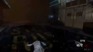 Black Ops 2: Zombies Gameplay with RAYGUN HD (Call Of Duty Back Ops 2 Zombies)