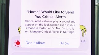 iPhone stuck on Home would you like to send you critical Alerts on iPhone 13 mini and 14 pro max fix