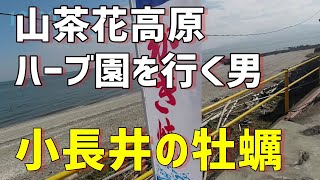 『ハーブ園』50代男が一人行く小長井牡蠣街道。14分のストーリー。