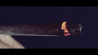 Taipan - Cendrier (Clip officiel)