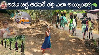 పద్మ శ్రీ తులసీ గౌడ |Padma Shri Tulasi Gowda। అడవి బిడ్డ అడవికే తల్లి ఎలా అయ్యింది?