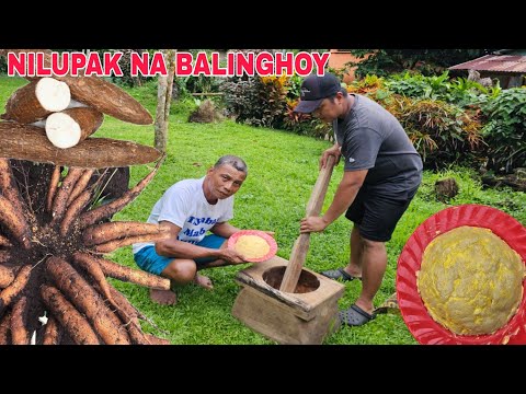 Unang Harvest ng Sitaw Nagluto kami ni tatay ng Nilupak na balinghoy Pagkatapos magtabas sa bukid