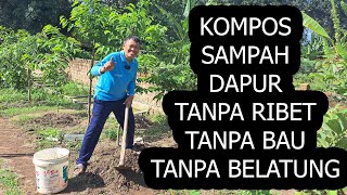 Cara membuat kompos dari sampah dapur anti ribet dan cepat jadi tanpa bau tanpa belatung